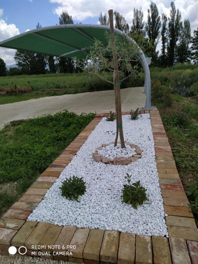 Agriturismo " Le Serre" Spello Exterior foto