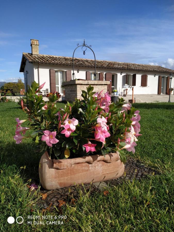 Agriturismo " Le Serre" Spello Exterior foto