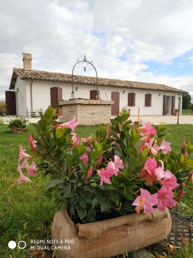 Agriturismo " Le Serre" Spello Exterior foto